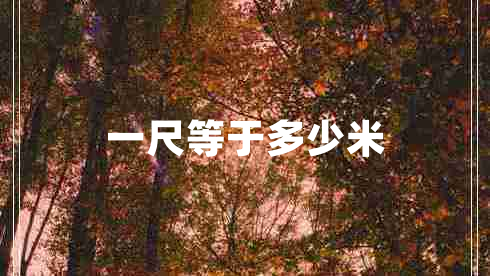 一尺等于多少米