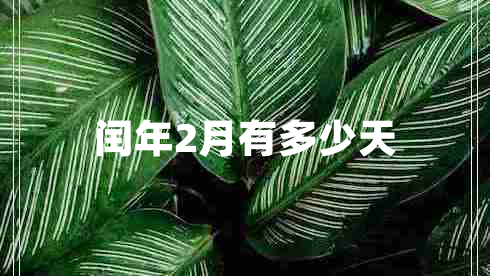 閏年2月有多少天