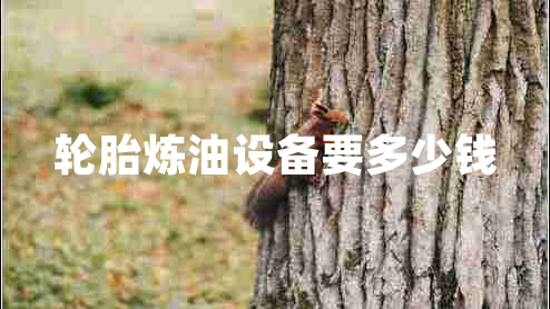 輪胎煉油設備要多少錢