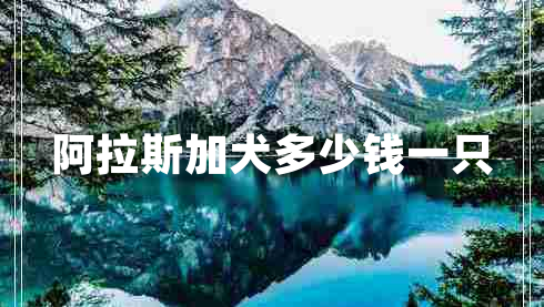 阿拉斯加犬多少錢一只