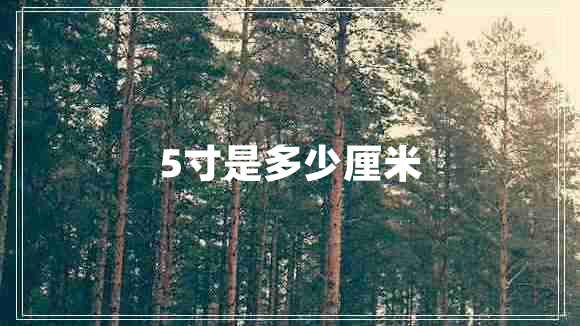 5寸是多少厘米 5寸是多少厘米