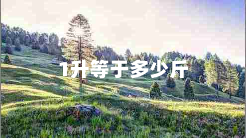 1升等于多少斤 1升等于多少斤