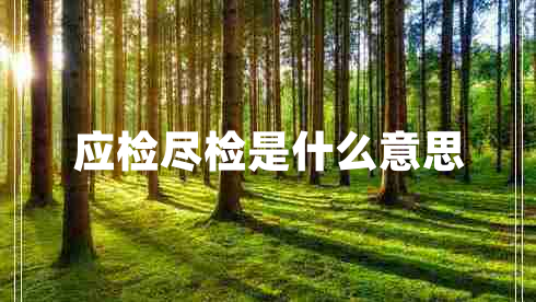 應檢盡檢是什么意思