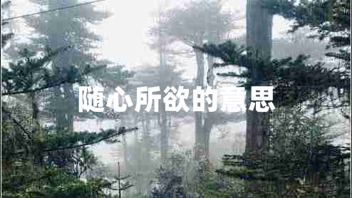 隨心所欲的意思