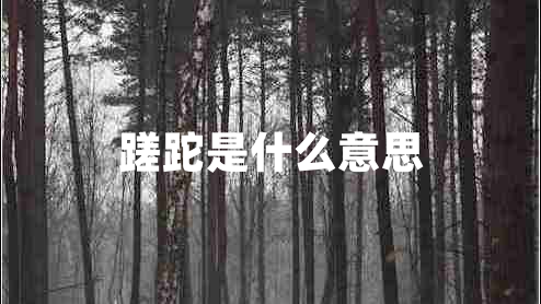 蹉跎是什么意思