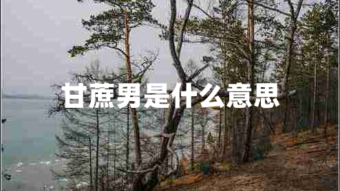 甘蔗男是什么意思 甘蔗男是什么意思