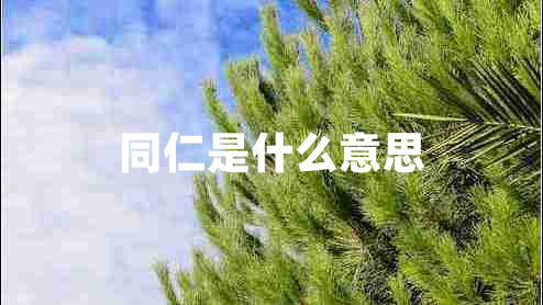 同仁是什么意思