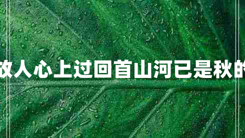 忽有故人心上過(guò)回首山河已是秋的意思