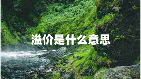 溢價(jià)是什么意思