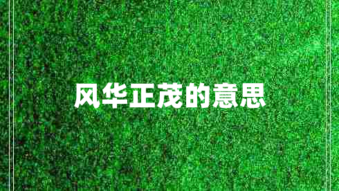 風(fēng)華正茂的意思
