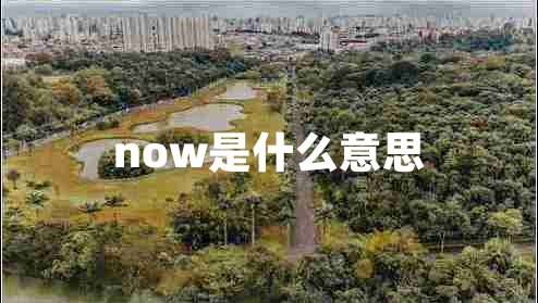 now是什么意思