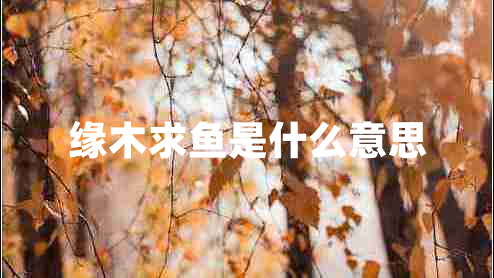 緣木求魚是什么意思