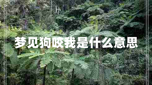 夢見狗咬我是什么意思