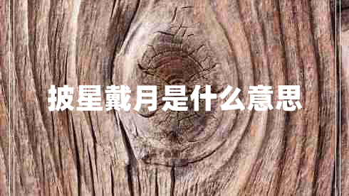披星戴月是什么意思