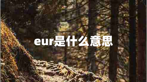 eur是什么意思