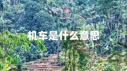 機車是什么意思