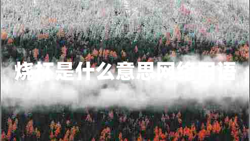 燒杯是什么意思網(wǎng)絡用語