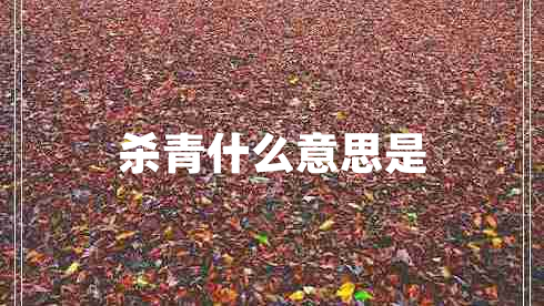 殺青什么意思是