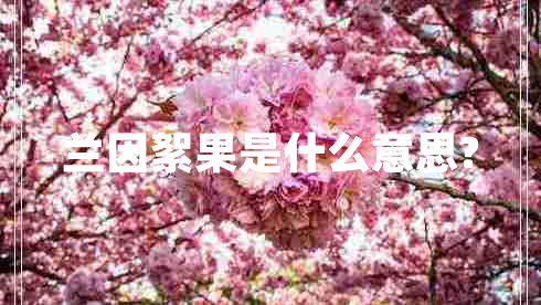 蘭因絮果是什么意思? 蘭因絮果是什么意思?