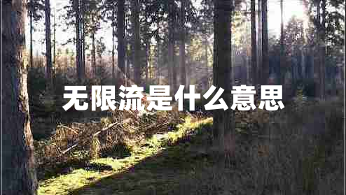 無限流是什么意思