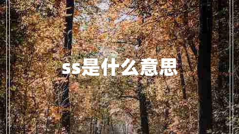 ss是什么意思 ss是什么意思