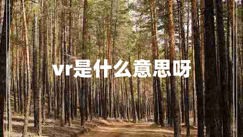 vr是什么意思呀 vr是什么意思呀
