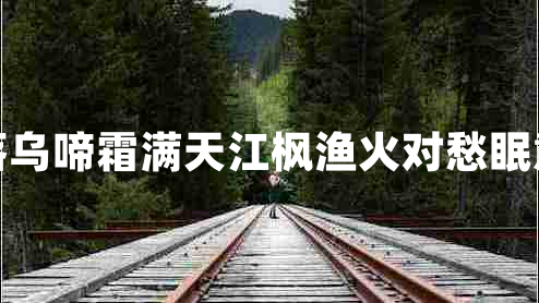 月落烏啼霜滿(mǎn)天江楓漁火對(duì)愁眠意思