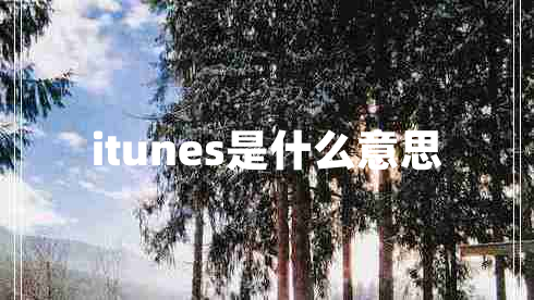 itunes是什么意思 itunes是什么意思