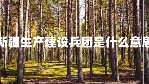 新疆生產(chǎn)建設(shè)兵團(tuán)是什么意思