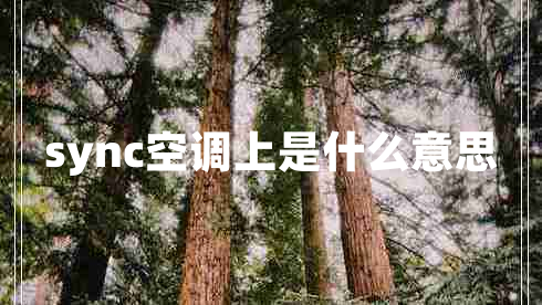 sync空調(diào)上是什么意思 sync空調(diào)上是什么意思