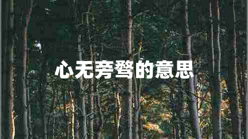 心無旁騖的意思 心無旁騖的意思