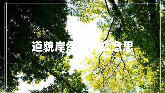 道貌岸然是什么意思