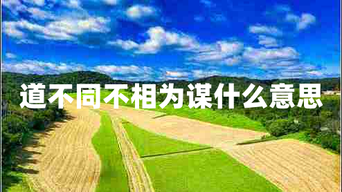 道不同不相為謀什么意思