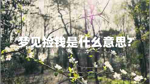 夢見撿錢是什么意思?