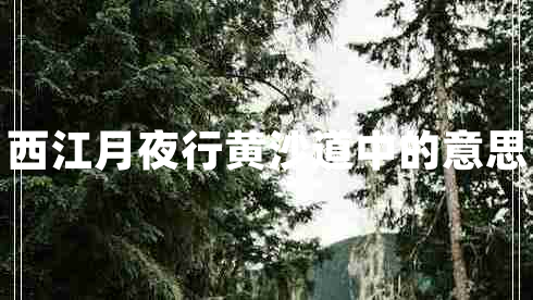 西江月夜行黃沙道中的意思