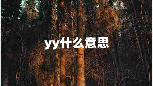 yy什么意思 yy什么意思