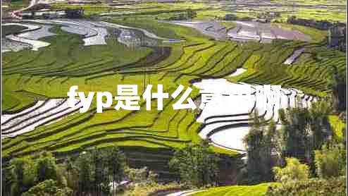 fyp是什么意思啊 fyp是什么意思啊