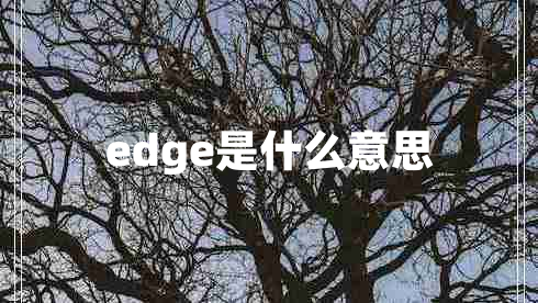 edge是什么意思
