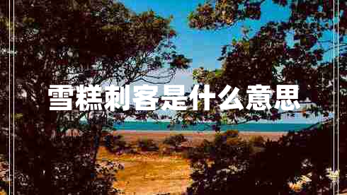 雪糕刺客是什么意思 雪糕刺客是什么意思