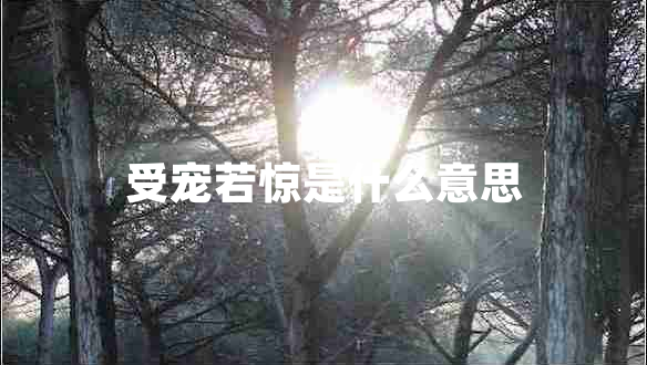 受寵若驚是什么意思