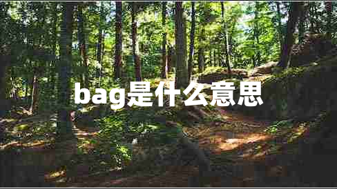 bag是什么意思