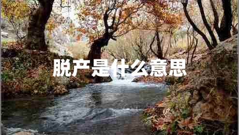 脫產(chǎn)是什么意思
