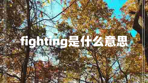 fighting是什么意思 fighting是什么意思