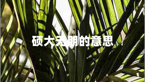 碩大無(wú)朋的意思