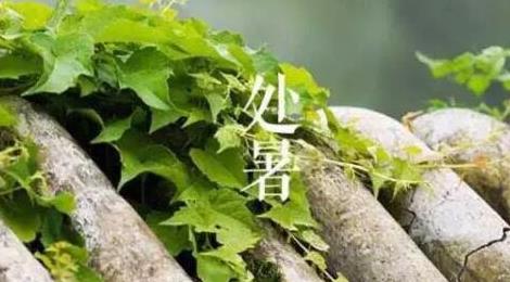 處暑的含義是什么意思 處暑的含義是什么意思