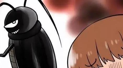 蟑螂會靠近熟睡的人嗎