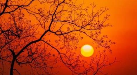 桑榆之年是多少歲