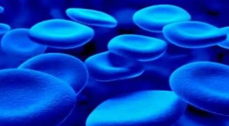 章魚的血液是什么顏色 章魚的血液是什么顏色