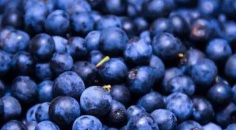 為什么藍色的水果很少