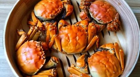 螃蟹要蒸多久才能蒸熟